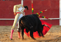 Actuações de Diogo Peseiro e Sérgio Nunes em Espanha